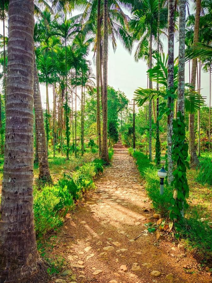 Nature'S Nest Eco Resort Goa, Near Dudhsagar Waterfalls Molem Екстер'єр фото