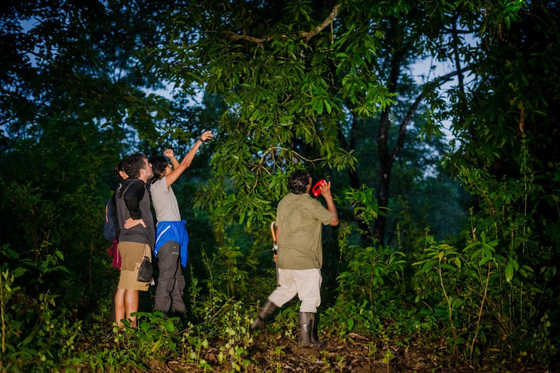 Nature'S Nest Eco Resort Goa, Near Dudhsagar Waterfalls Molem Екстер'єр фото
